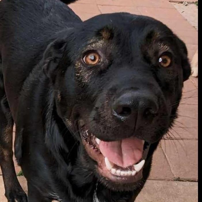 Benny - Image 3