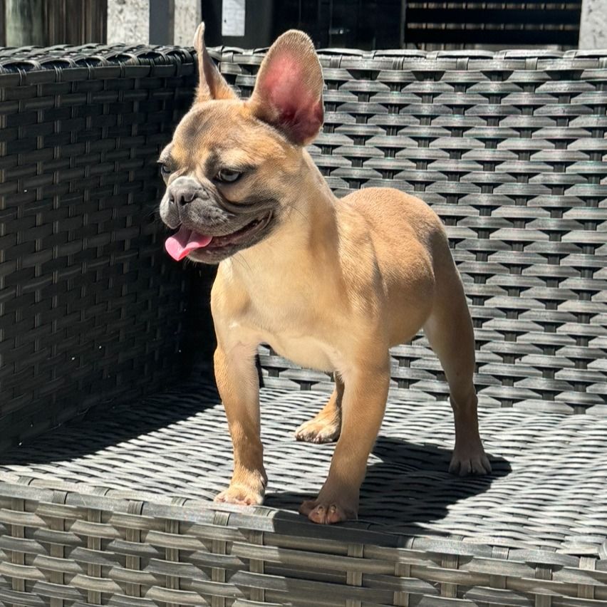 KILO - Image 2