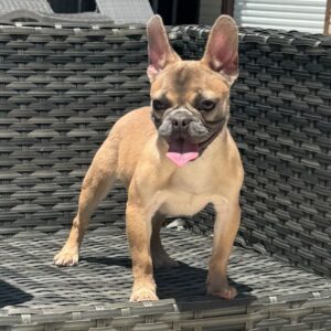 KILO