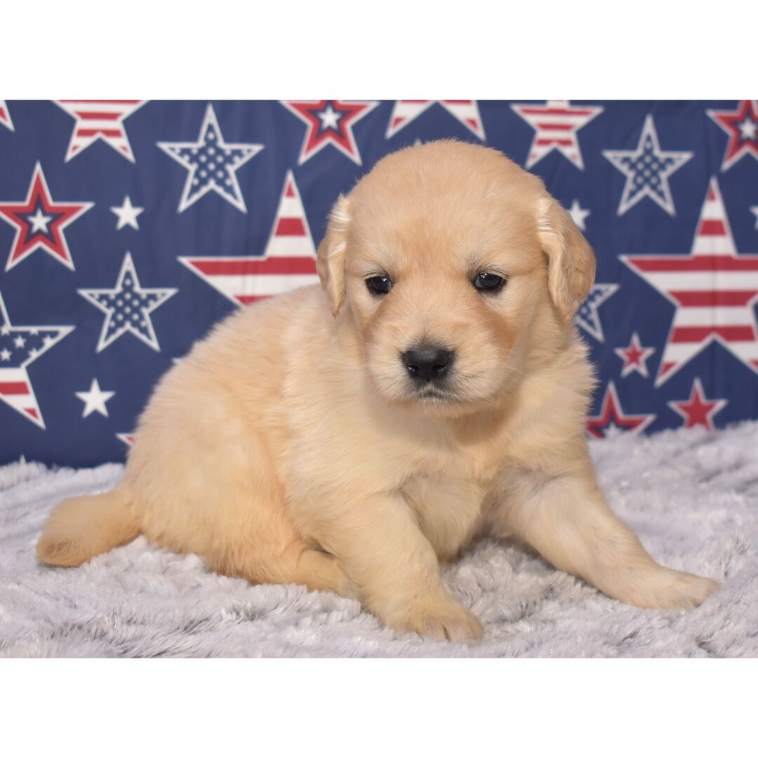 Rylee - Image 2