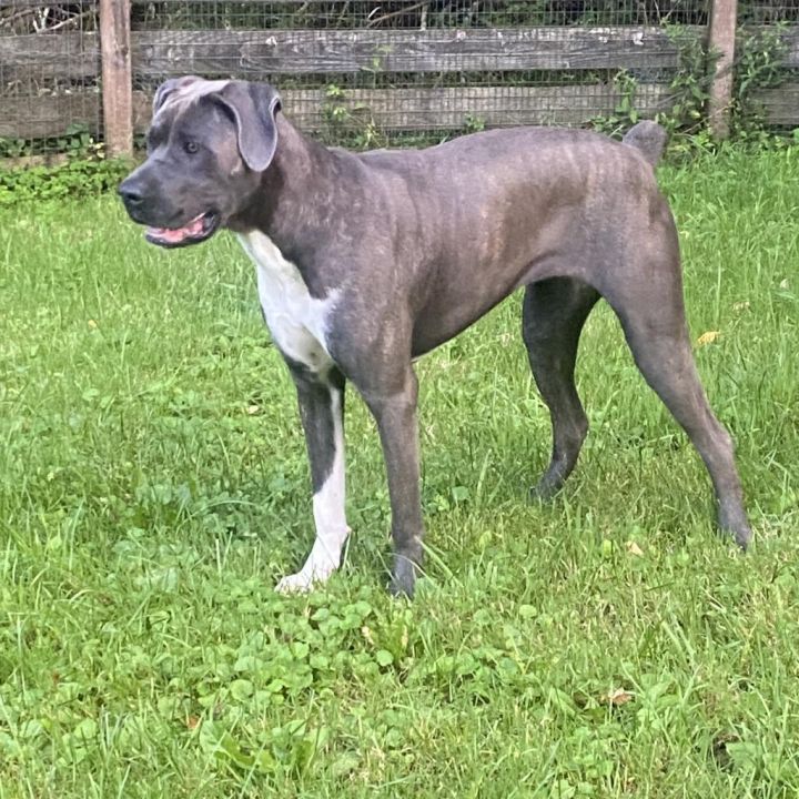 Big Luna