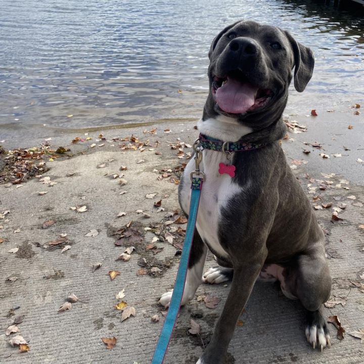 Big Luna - Image 4